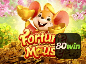 80WIN login — configurações de segurança e proteção de conta